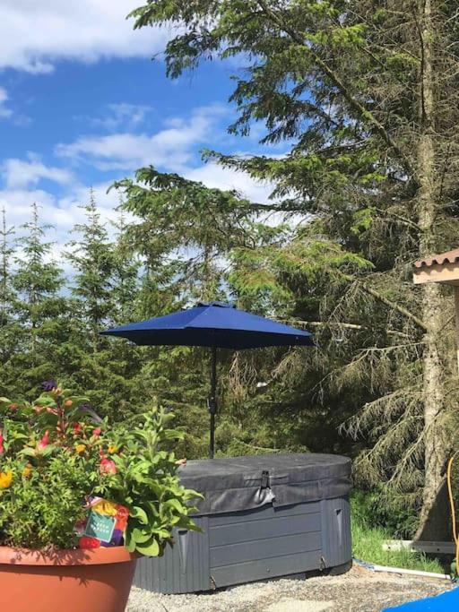 Bankhead Accommodation With Hot Tub Aberdeenshire Gamrie Kültér fotó